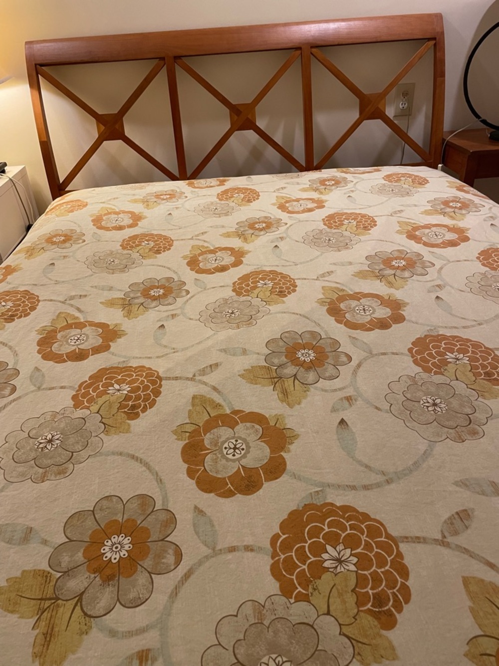 Columbine Cody Queen Duvet Cover & Two Pottery Barn shams